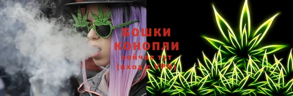 шишки Наволоки
