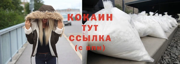 винт Надым