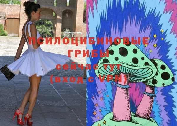 шишки Наволоки