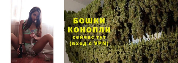 винт Надым