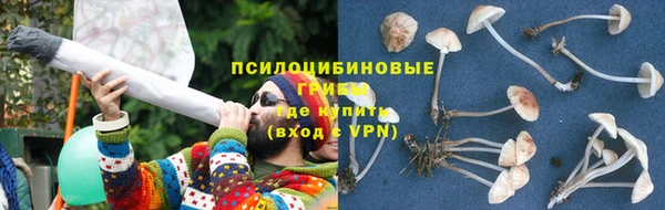 винт Надым