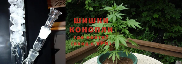шишки Наволоки