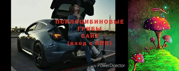 шишки Наволоки
