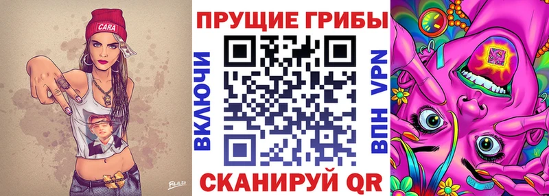 Купить где  Дальнегорск  Галлюциногенные грибы ЛСД 